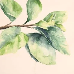 Côté Table Set De 5 Torchons Aroma Vert Et Lin En Coton -HARMONY Shop 29537 DET04 WEB