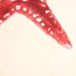 Côté Table Set De 5 Torchons Crustace En Coton -HARMONY Shop 29538 DET02 WEB