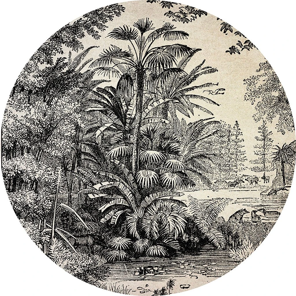 A&A Story Set De Table Vinyle Jungle D35cm 3 A&A Story Set De Table Vinyle Jungle D35cm